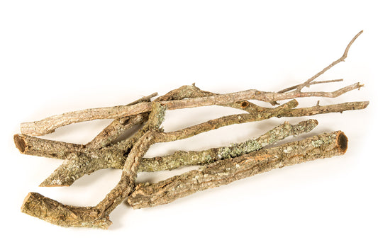 Cork Bark Branch 30cm In Length - Corkbark UK