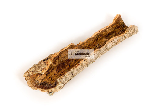 Cork Bark Flat Piece 60cm length - Corkbark UK