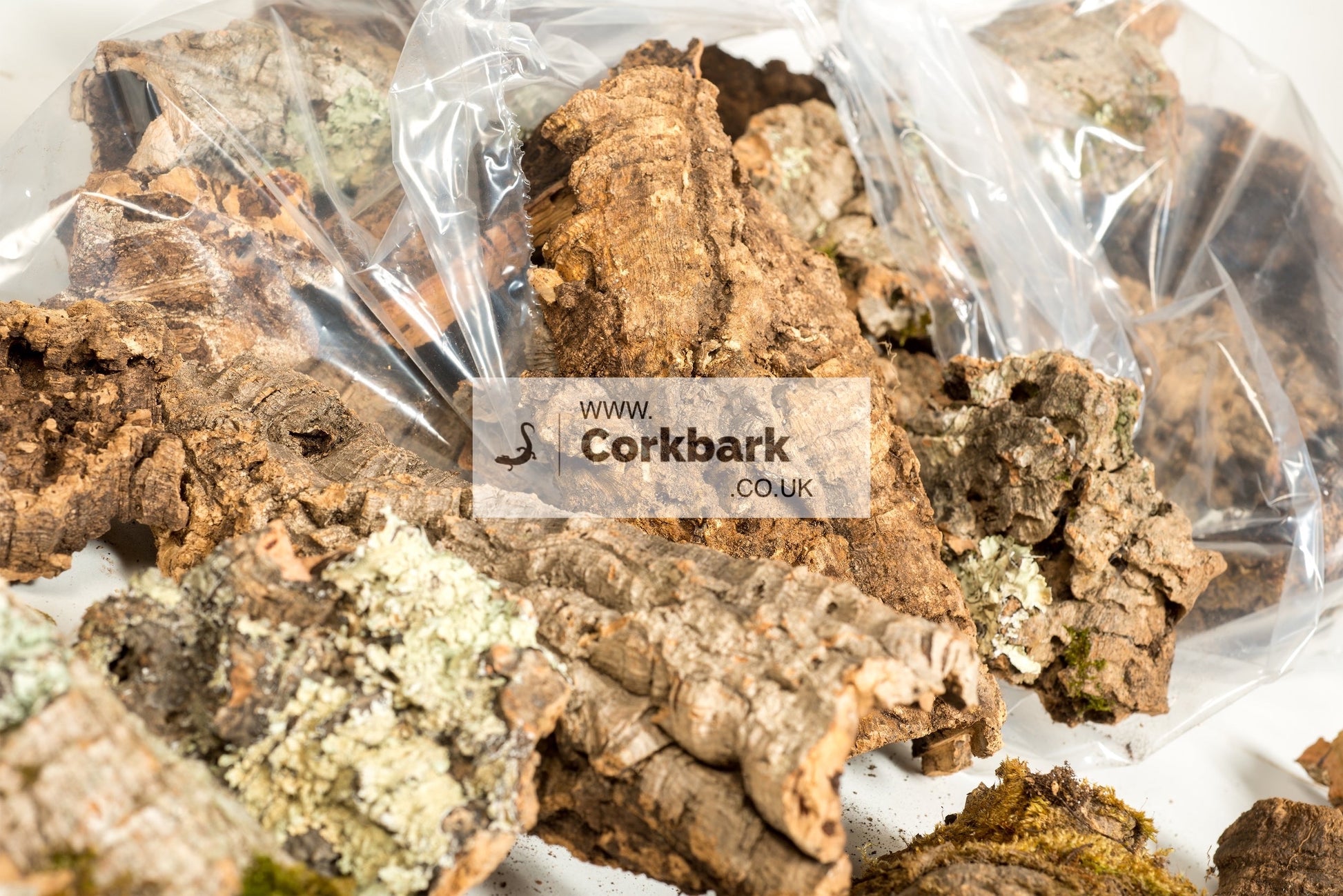 5KG Mixed Box Cork Bark Pieces - Corkbark UK