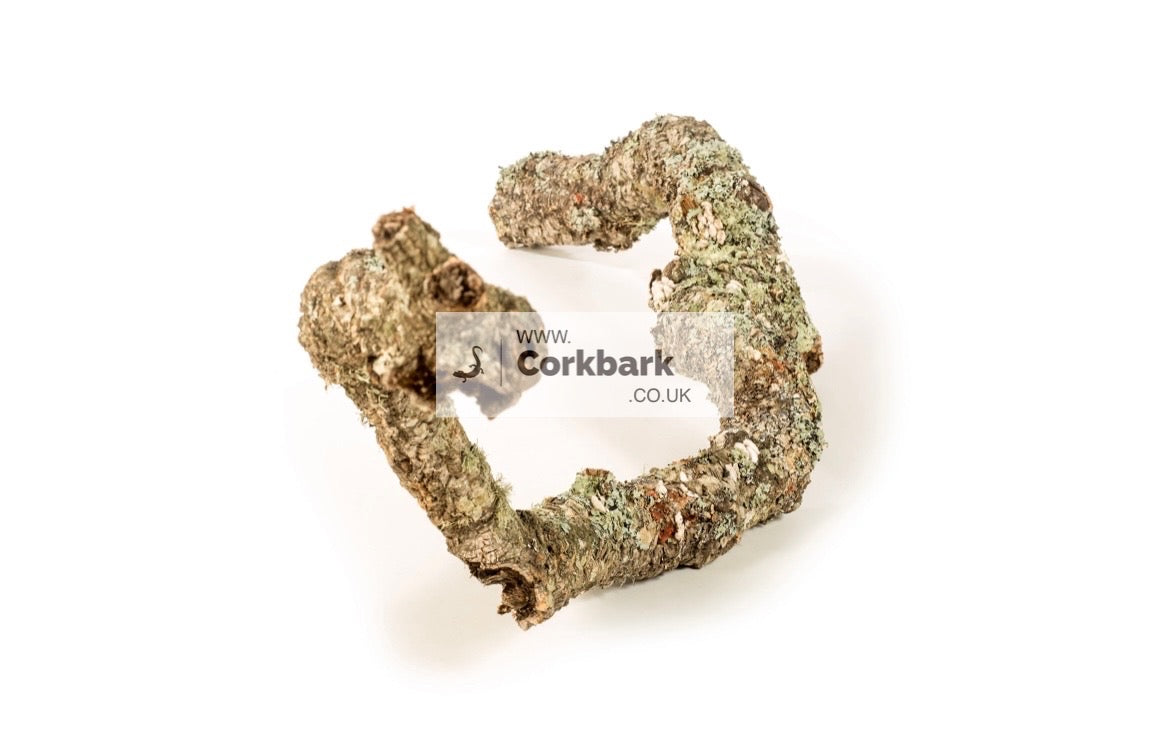 2.5KG Of Cork Bark Branches 30cm In Length - Corkbark UK