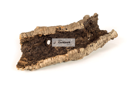 Cork Bark Flat Piece 60cm length - Corkbark UK