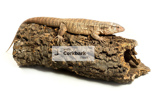 Cork Bark Tube 100cm - 120cm Length - Corkbark UK