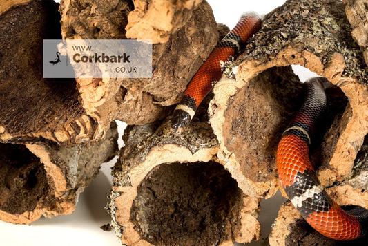 20KG Mixed Bulk Box Cork Bark Tubes - Corkbark UK