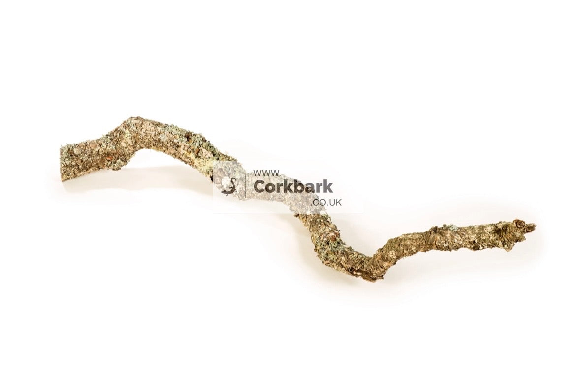 2.5KG Of Cork Bark Branches 30cm In Length - Corkbark UK