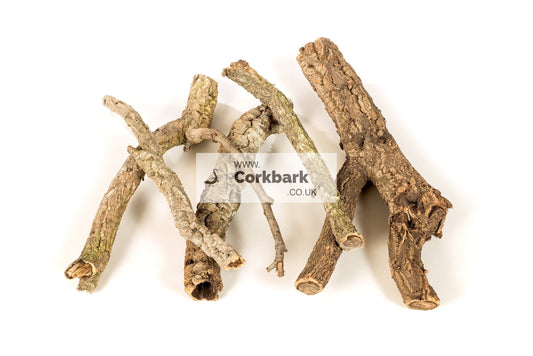 3KG Mixed Bulk Cork Bark Box (1Kg Tubes, 1KG Flats, 1KG Branches) - Corkbark UK