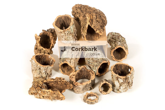 5KG Mixed Bulk Box Cork Bark Tubes - Corkbark UK