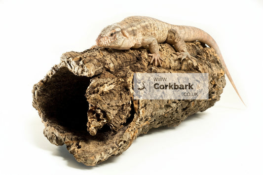 Cork Bark Tube 100cm - 120cm Length - Corkbark UK