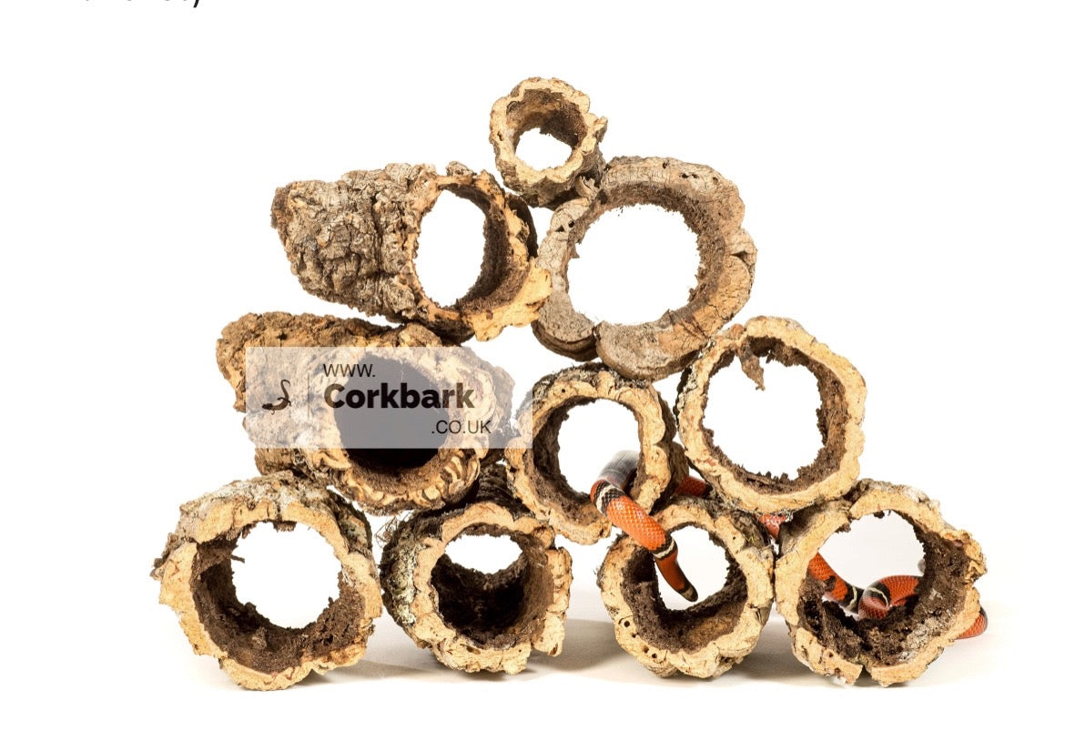 6KG Mixed Bulk Cork Bark Box (2Kg Tubes, 2KG Flats, 2KG Branches) - Corkbark UK