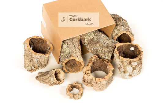 2.5KG Mixed Bulk Box Cork Bark Tubes - Corkbark UK
