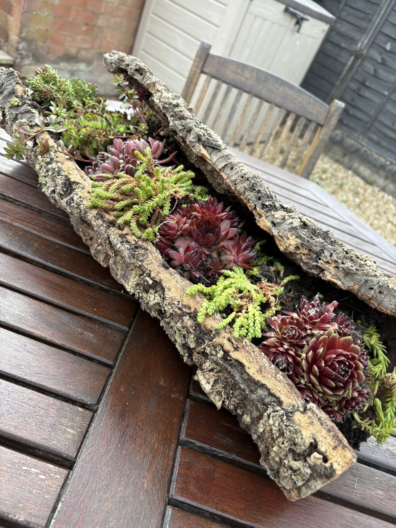 Using Cork Bark for Gardening and Landscaping: FAQs Answered - Corkbark UK