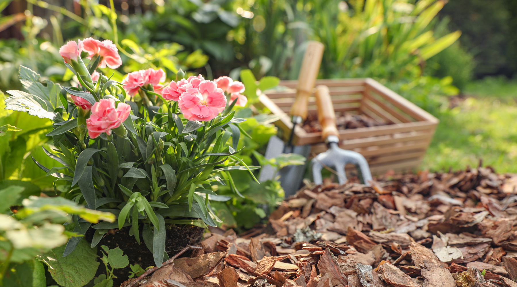 How can Cork Bark be used for Garden Decoration & Landscaping?