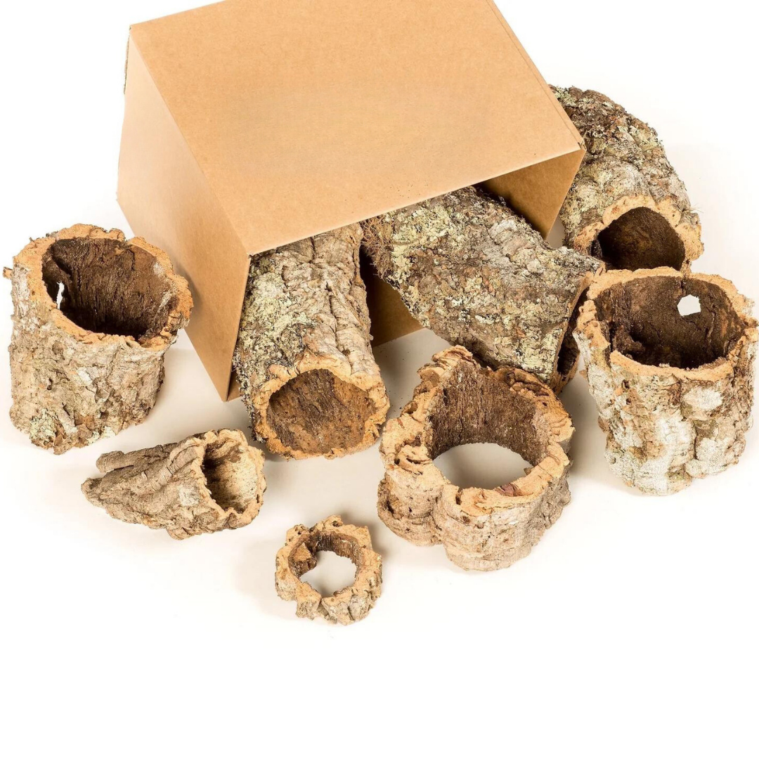 Cork Bark for Reptile Enclosures