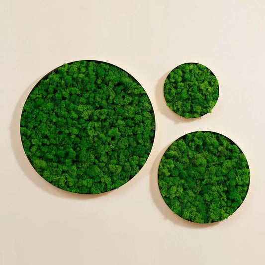 Circular Moss Art Panel