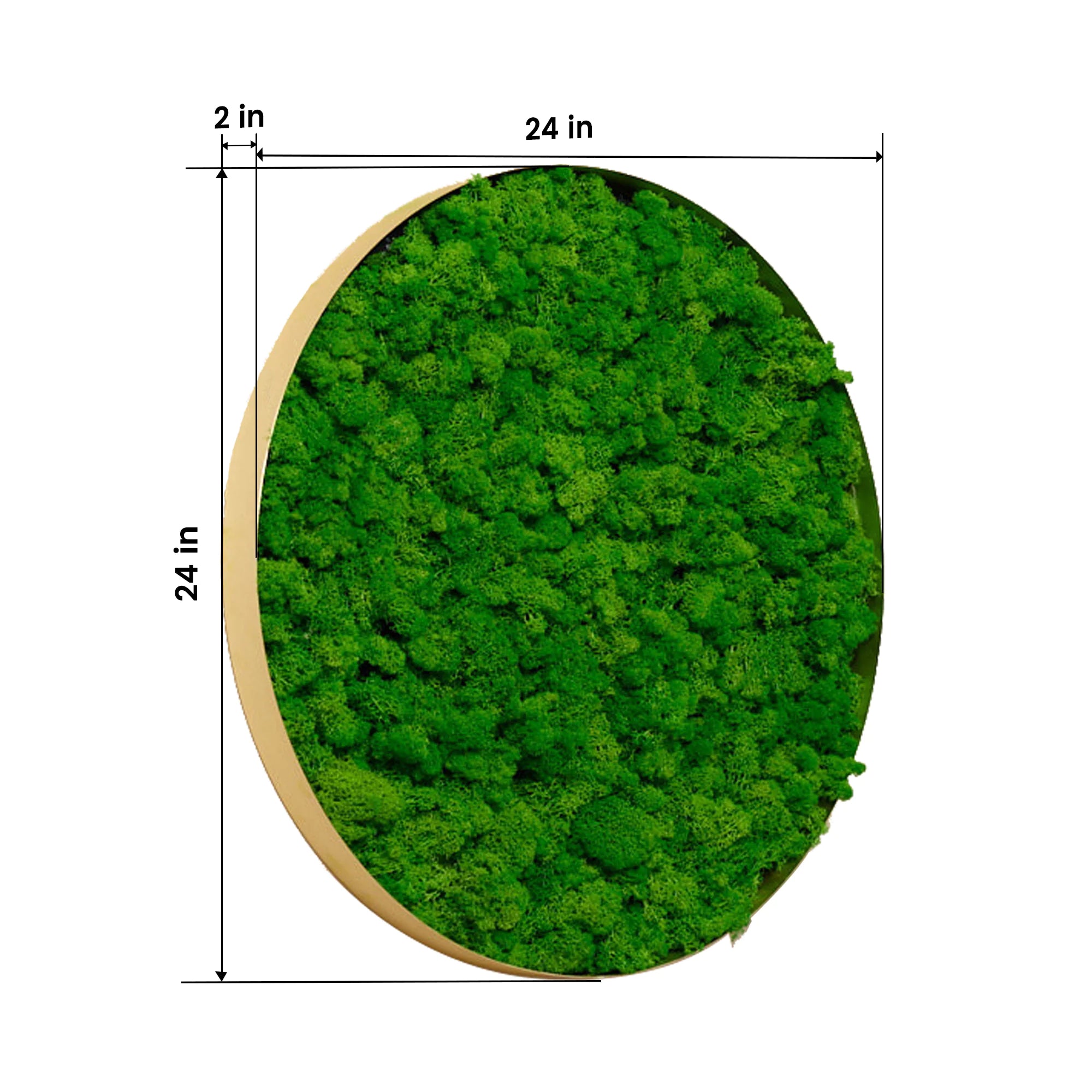 Circular Moss Art Panel