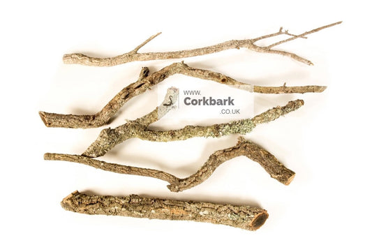 5KG Of Cork Bark Branches 60cm In Length - Corkbark UK