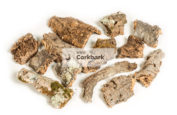 2KG Mixed Box Cork Bark Pieces