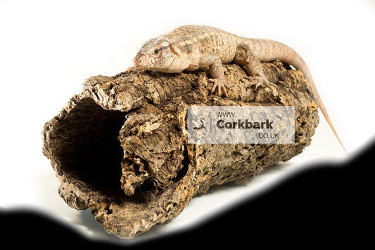 Cork Bark Tube Piece Diameter 8-15cm - 60cm Length